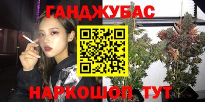 мдпв Татарск