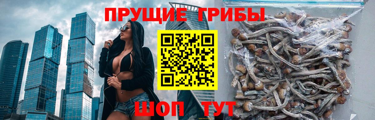 Галлюциногенные грибы GOLDEN TEACHER  Вход с VPN  Бахчисарай 