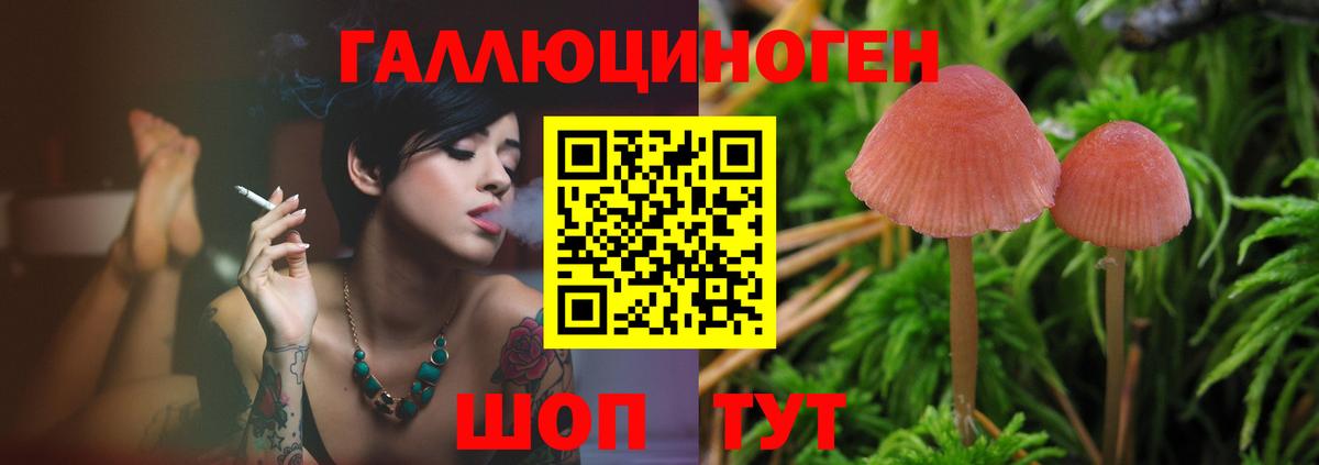 Псилоцибиновые грибы мицелий Бахчисарай